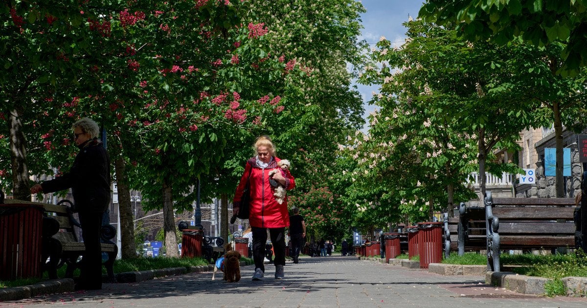 У червні життя українців зміниться у деяких сферах У червні життя українців зміниться у деяких сферах