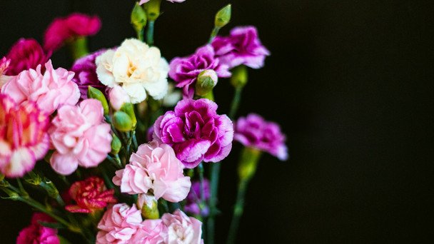 День ангела 10 березня — душевні привітання в прозі / © unsplash.com