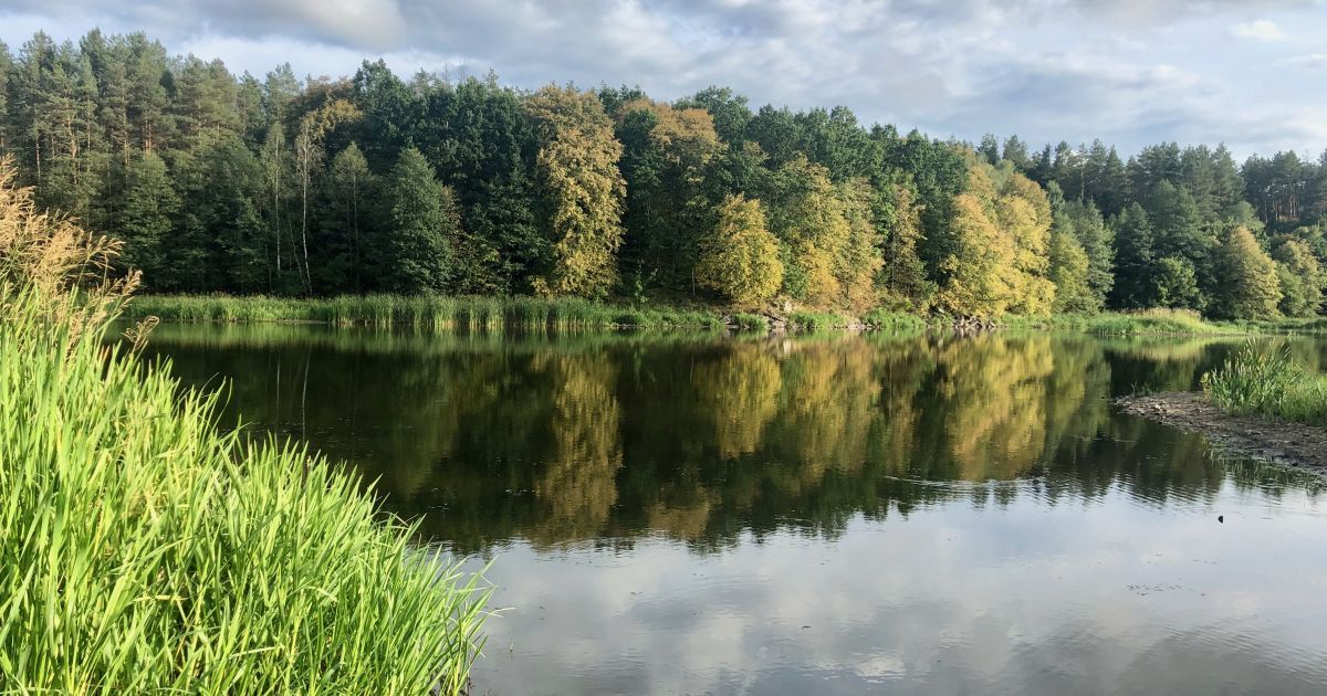 Гороскоп на 29 серпня для всіх знаків Зодіаку