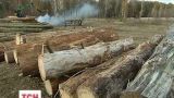 Селяни у селі Підлісся заблокували дорогу, помітивши незаконну вирубку сусіднього лісу