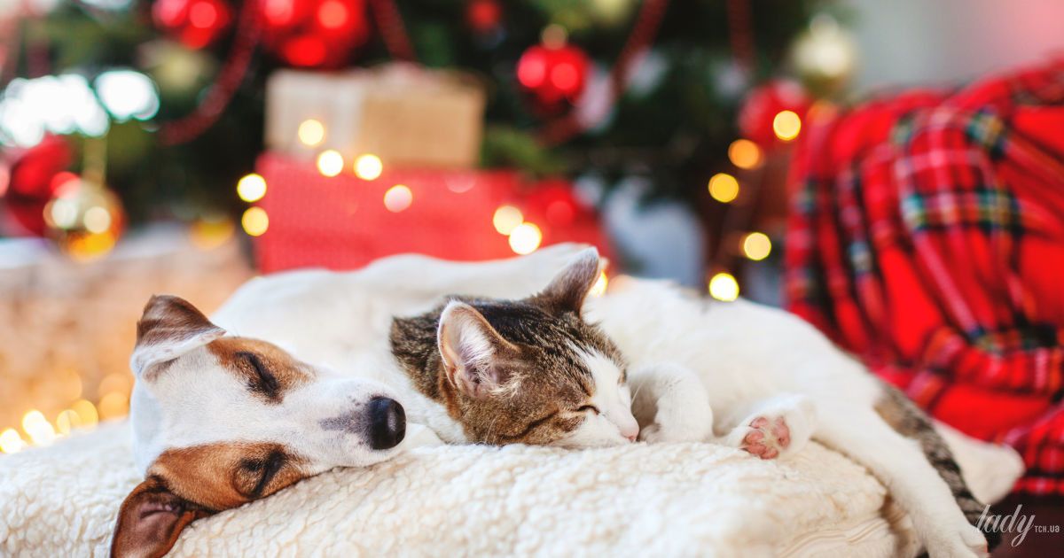 Гороскоп на 1 січня