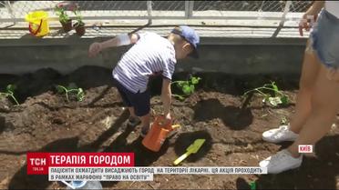 Пациенты "Охматдета" взялись высаживать огород на территории больницы