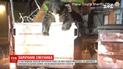 В США спасли медведя, который застрял в мусорном баке в поисках пищи