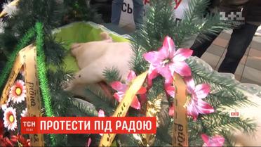 У ВР собрались противники продажи земли: с собой принесли гроб со свиньей и венки