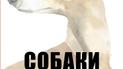 Ангус Юланд и Кетра Уилсон: Собаки в искусстве