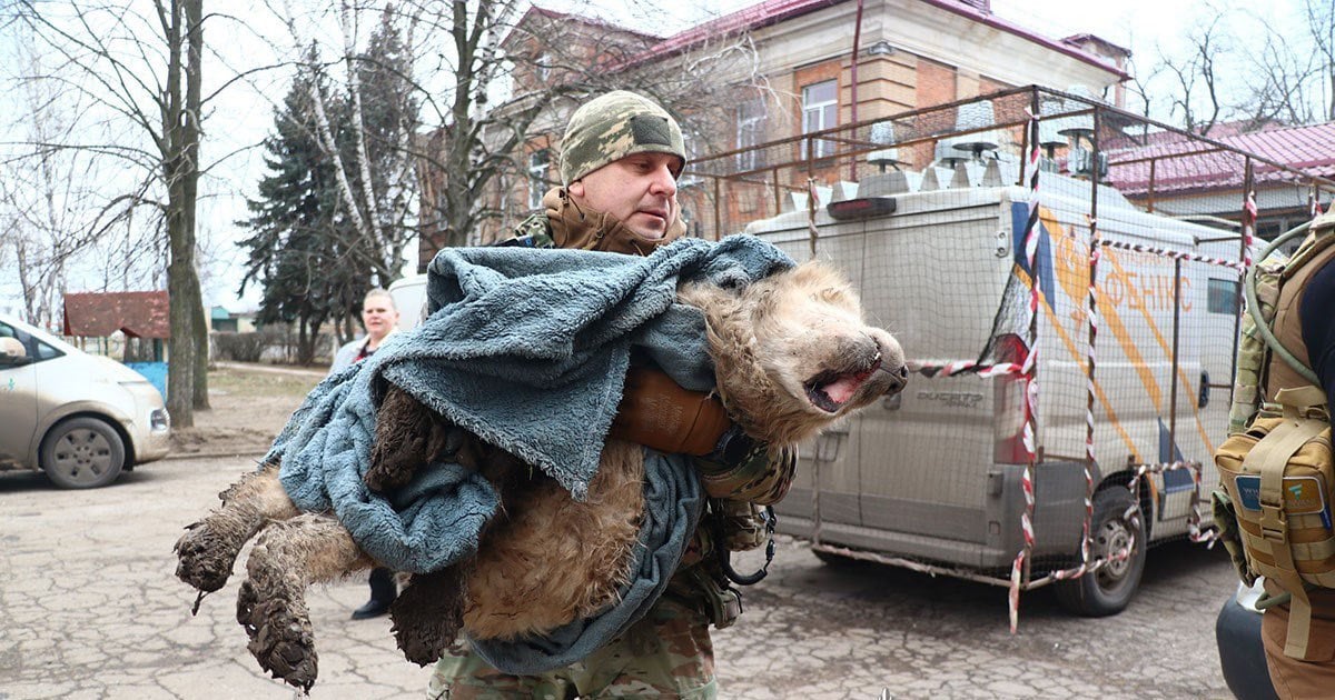 Поліцейські врятували з-під вогню собаку, якого залишили господарі