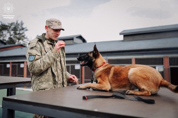 Кинолог со служебной собакой. Фото страница А. Небитова в соцсети