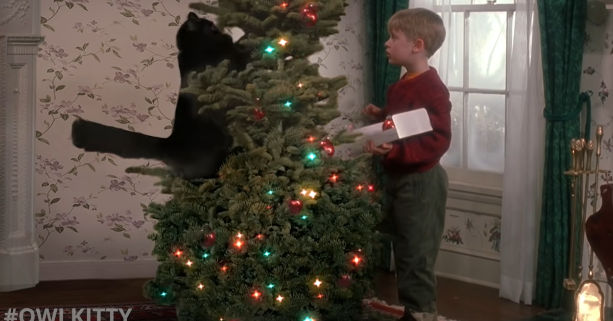 Повалила елку и прыгала на кровати: если бы с Кевином в фильме "Один дома" осталась кошка