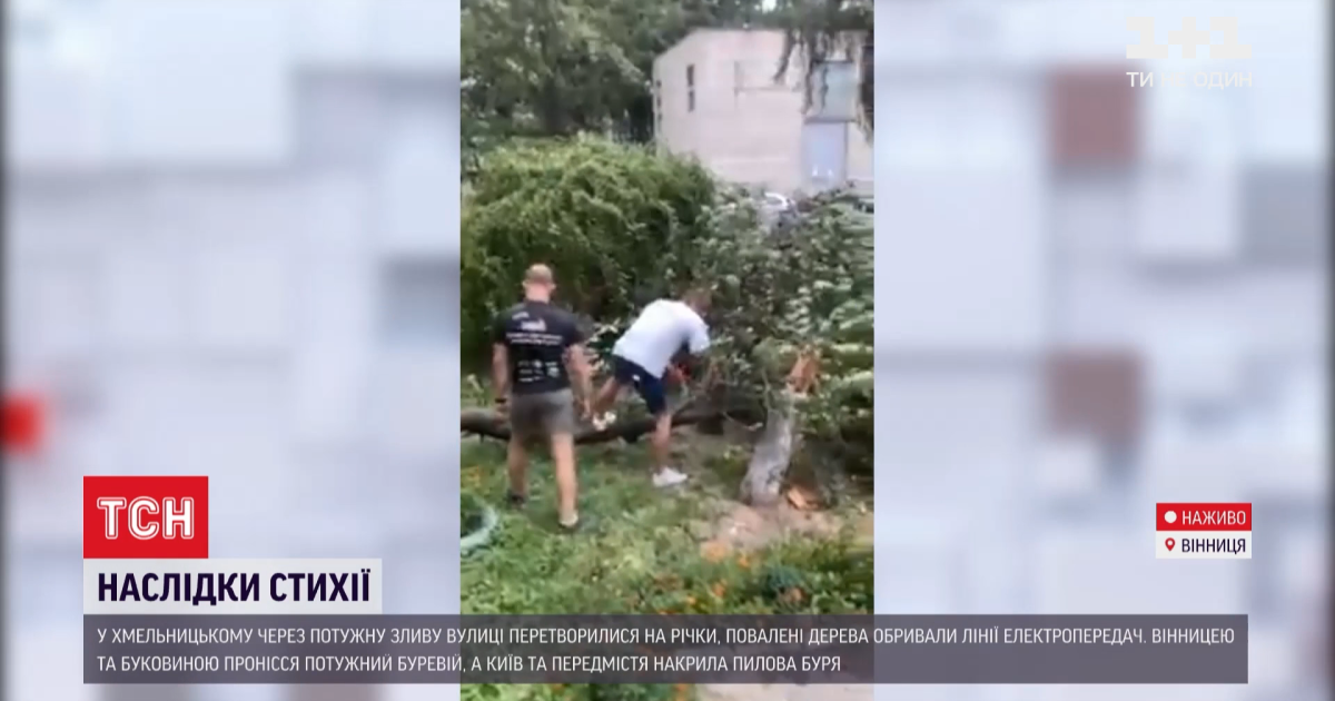 Гілки літали наче сірники: у Вінниці буревій завдав шкоди і травмував жінку