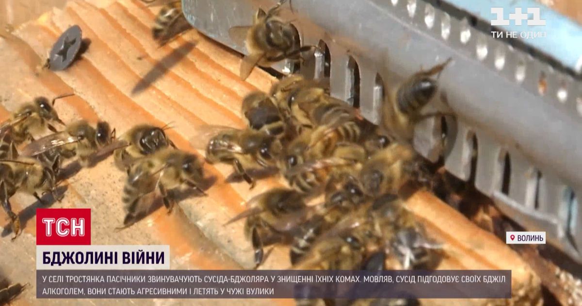В селе на волыни между соседями происходят 