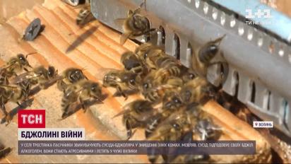В селе на Волыни между соседями происходят "пчелиные войны"