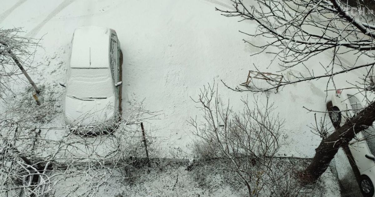 сніг у Львові / © ТСН