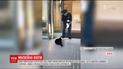 Пользователи Интернета следят за противостоянием мурчиков и секьюрити в Японии