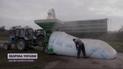 Білоруська пастка: Литва "пронюхала" наміри Мінська з українським зерном