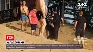 Новини України: конфлікт між відвідувачами бази відпочинку та охоронцем завершився нападом пса 