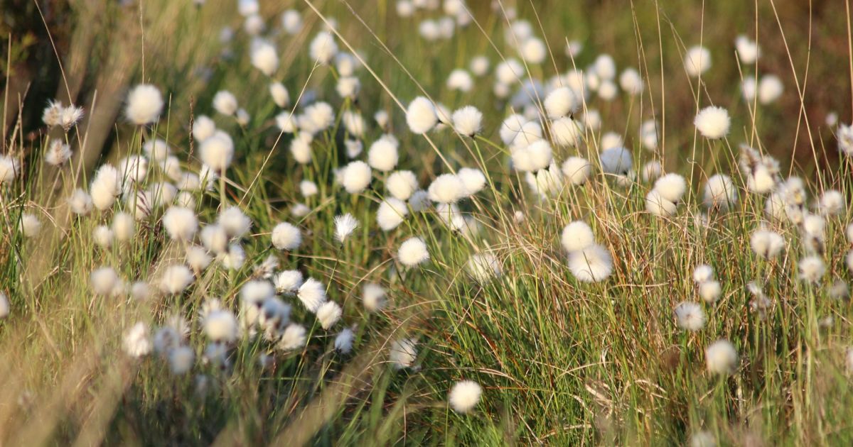 Какой сегодня 8 сентября день ангела