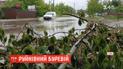 Повалені дерева, потрощені паркани та обірвані дроти: у Сумській області вирував буревій