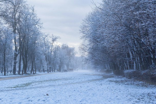 Народні прикмети 5 грудня / © unsplash.com