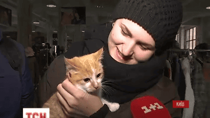 У столиці влаштували ярмарок котів