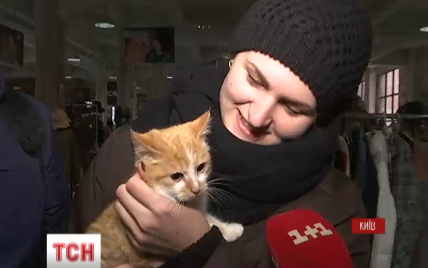В Киеве состоялась кошачья ярмарка