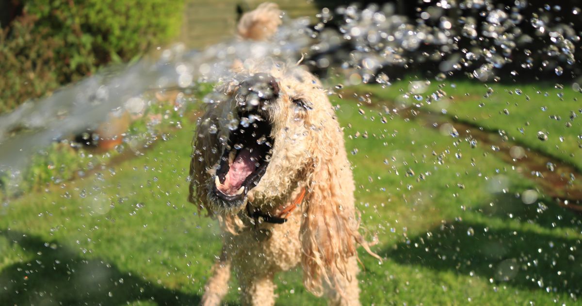 Погода у вихідні: синоптики прогнозують спеку вдень і прохолоду вночі