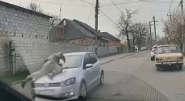 Водій збив військового ТЦК під час перевірки: відео