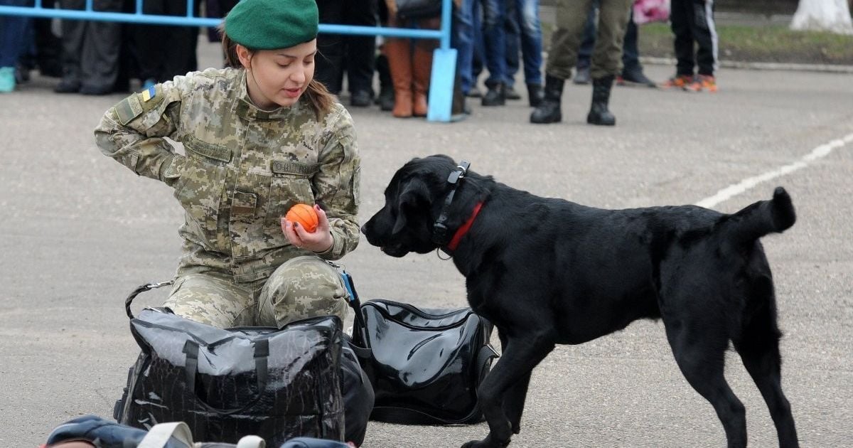 Весняний призов у Харкові_4 / © УНИАН
