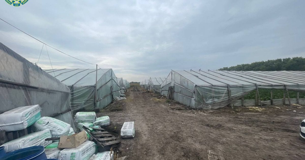 Место эксплуатации граждан Узбекистана под Киевом