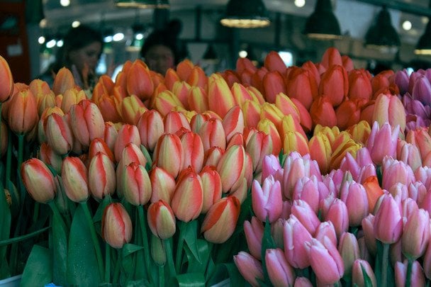 1 травня святкують День весни і праці / © unsplash.com