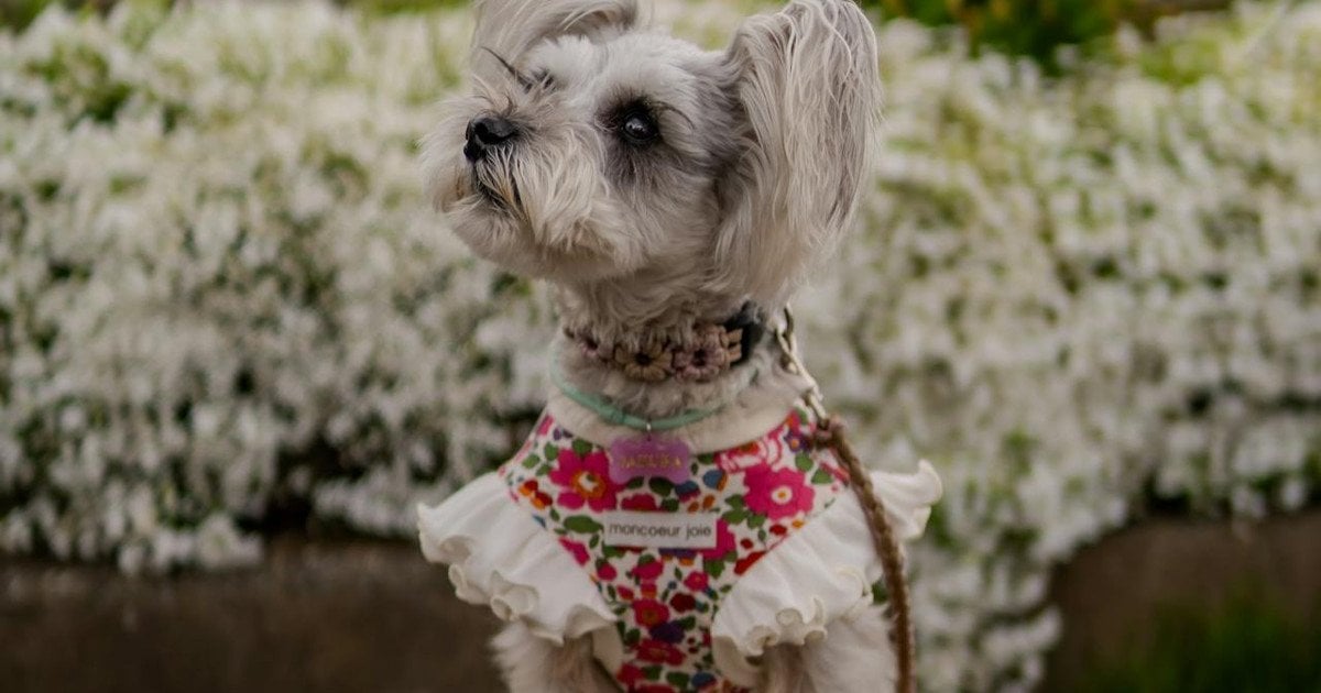 Який сьогодні, 15 квітня, день ангела