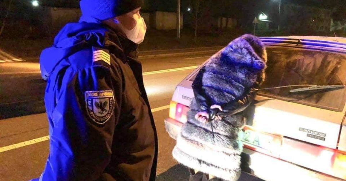 зловмисники_3 / © МВД