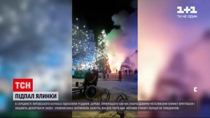Новости мира: в Литве 39-летний злоумышленник облил елку горючей жидкостью и пытался сбежать