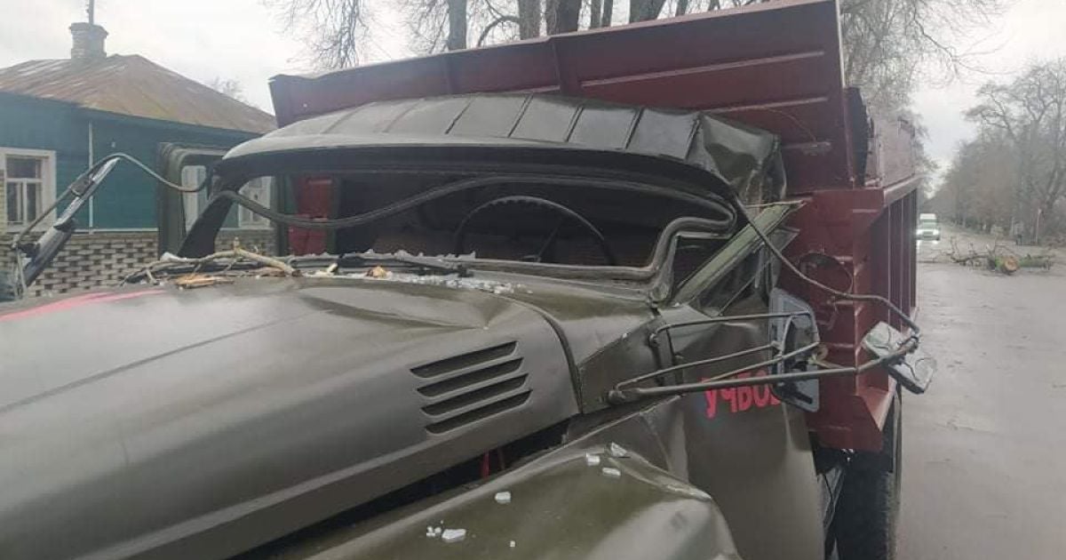 В Сумской области на учебное авто упало дерево: есть пострадавшие (фото)