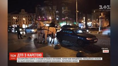 Екскурсійна карета з кіньми в’їхала в легковик у Львові