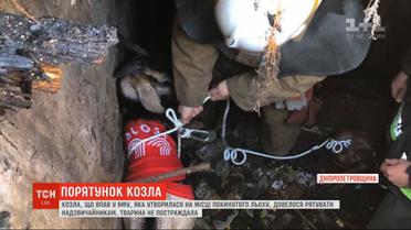 На Днепропетровщине бойцам ДСНС пришлось вытаскивать из ямы стильного козла