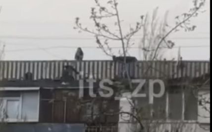 В Запорожье подростки устроили опасные игры на крыше многоэтажки (видео)