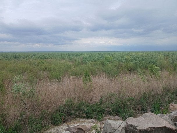 Ще три роки тому тут була суцільна вода / Фото Олексій Василюк