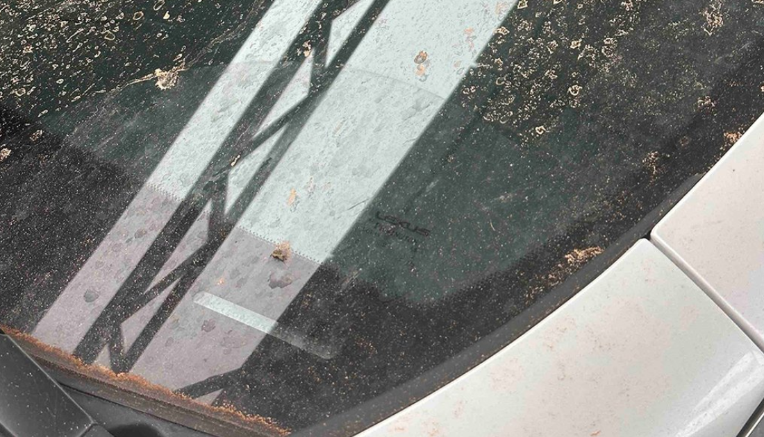 Сліди від дощу із пилом на лобовому склі авто / © Суспільне