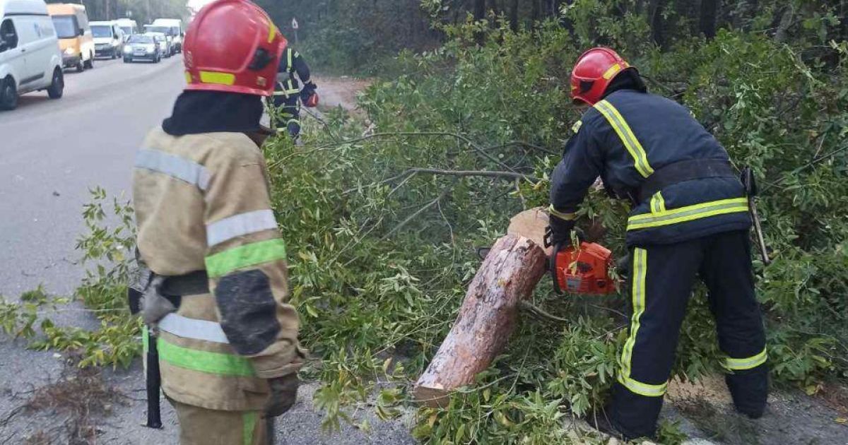 Падіння дерева на автомобілі
