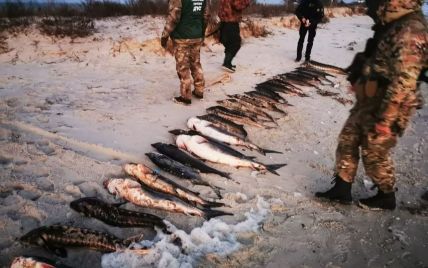 В Херсонской области браконьеры наловили рыбы на 4,5 млн гривен: как их накажут