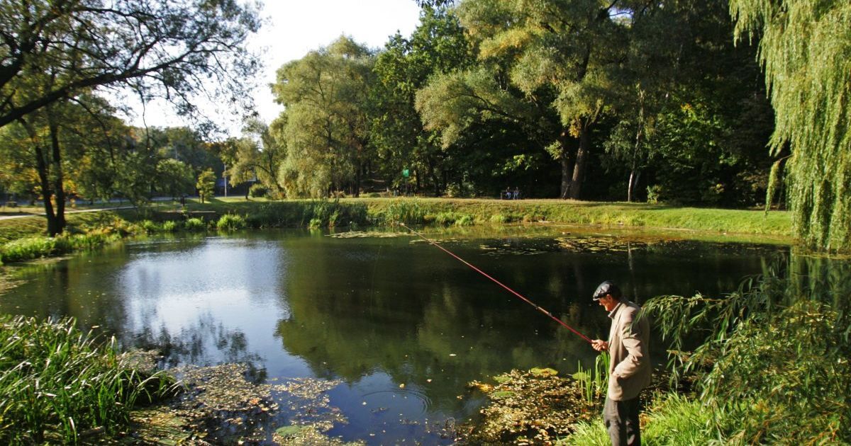 Озера Голосіївського парку під загрозою зникнення, - Пушкаренко
