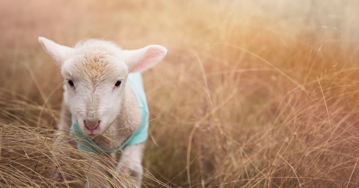 15 сентября: интересные обычаи, обряды и народный прогностик