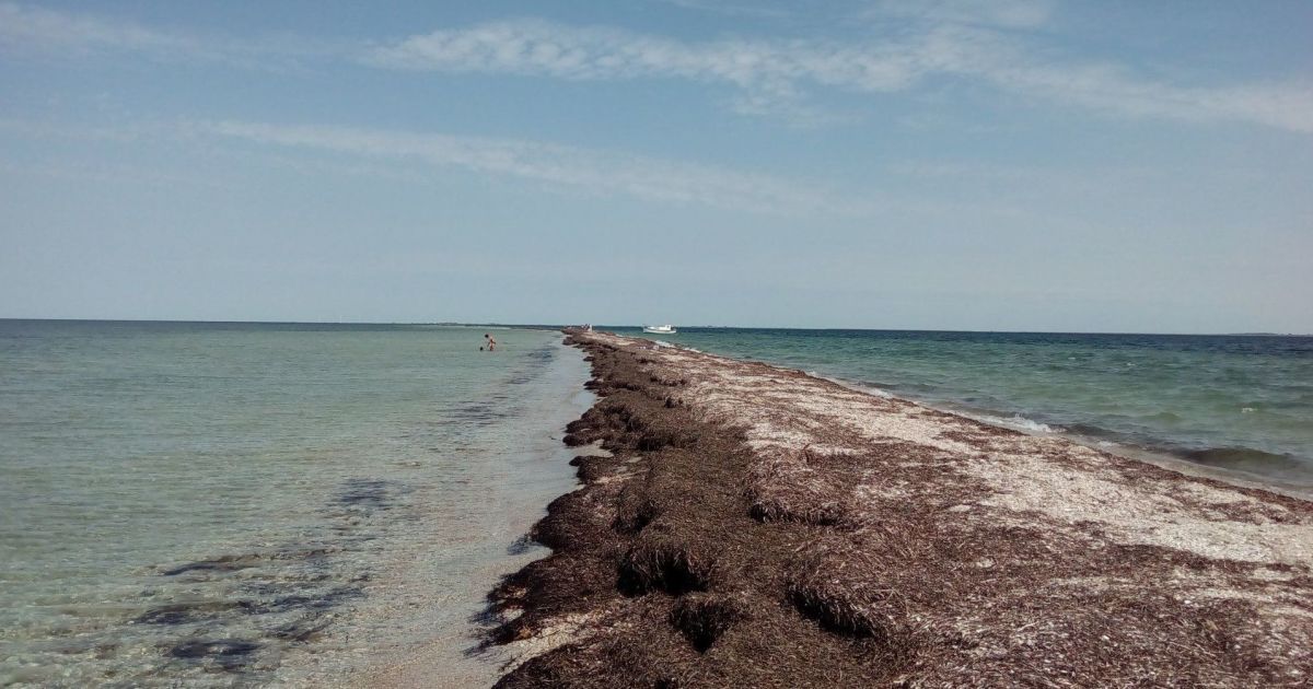Landscape reserve of local significance, “Karaday” in Kherson region / Photo: from open sources