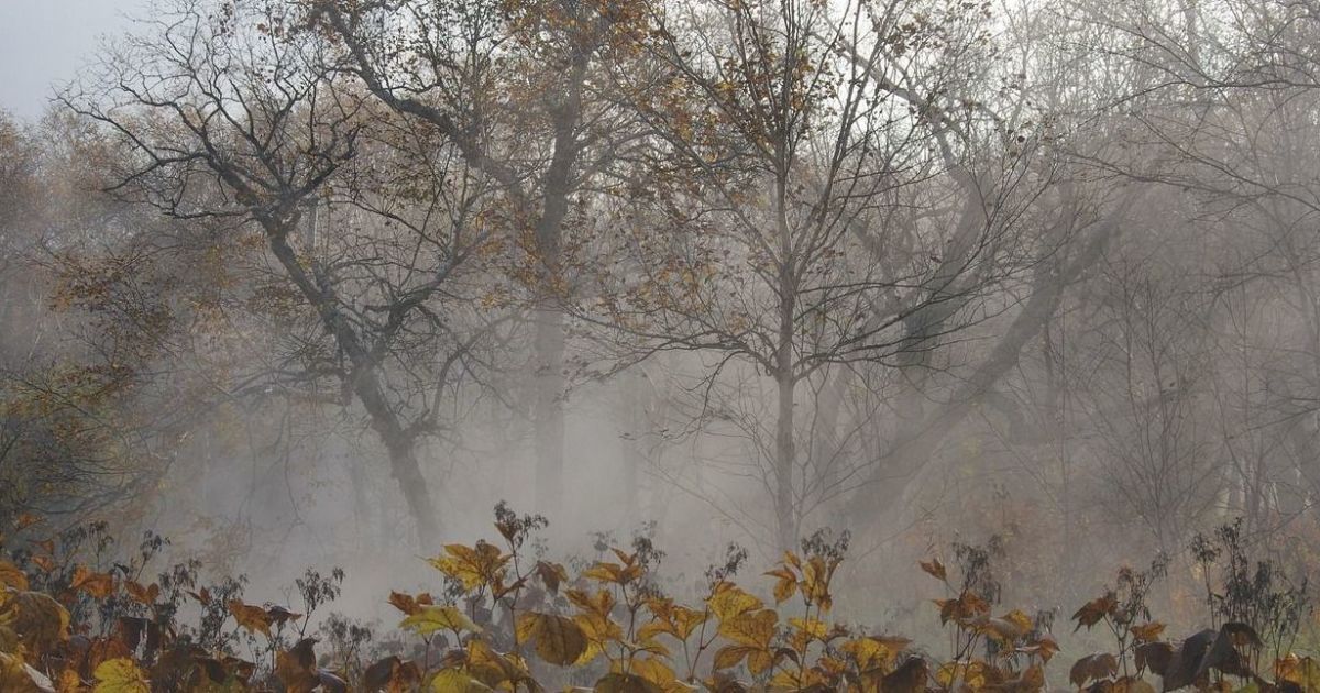 До України прийшла справжня осінь