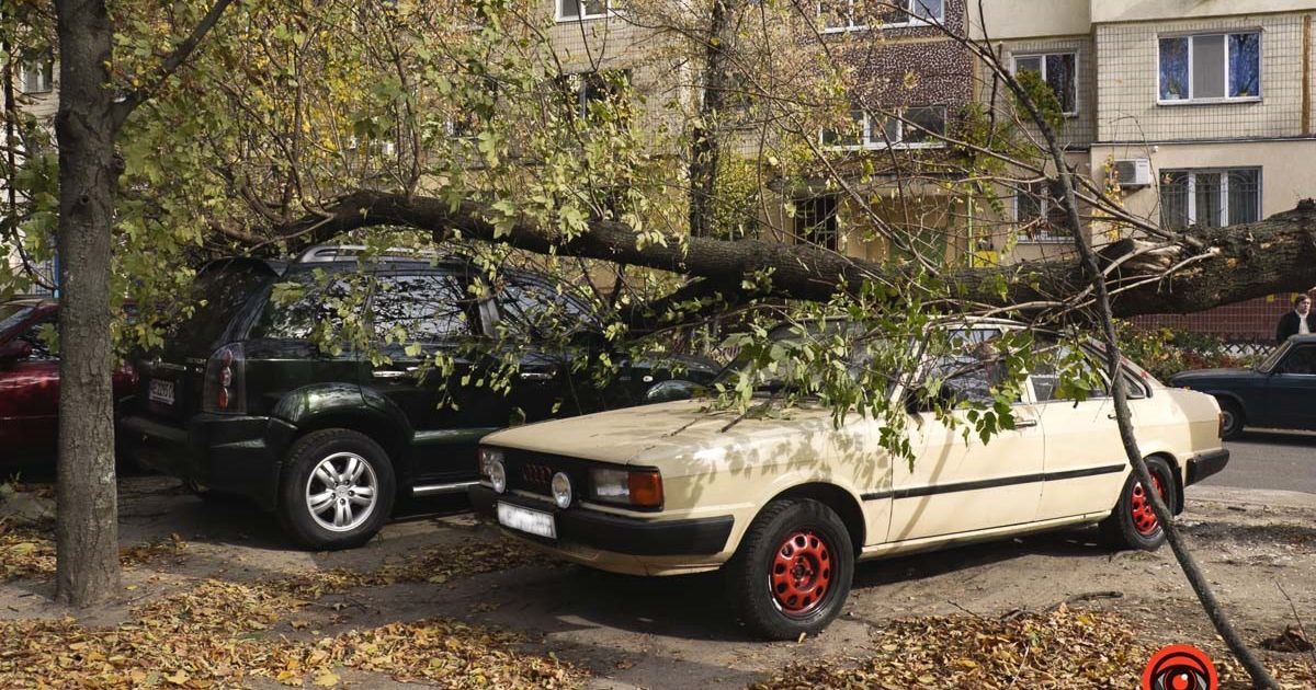 Повалені дерева і розчавлені автомобілі: у Дніпрі негода накоїла лиха