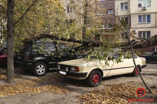 Повалені дерева і розчавлені автомобілі: у Дніпрі негода накоїла лиха