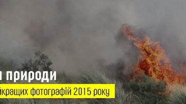 Сили природи. 15 найкращих фотографій 2015 року