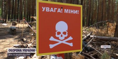 300 гектаров заминированного леса под Бучей: саперам хватит работы на несколько лет