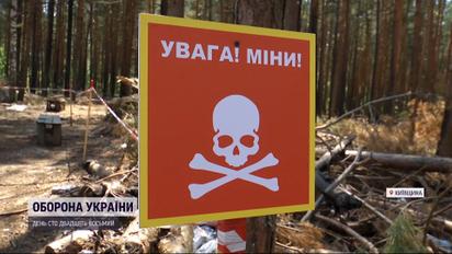 300 гектарів замінованого лісу під Бучею: саперам вистачить роботи на кілька років