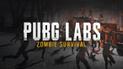 У серпні в PUBG буде тимчасово доступний зомбі-режим